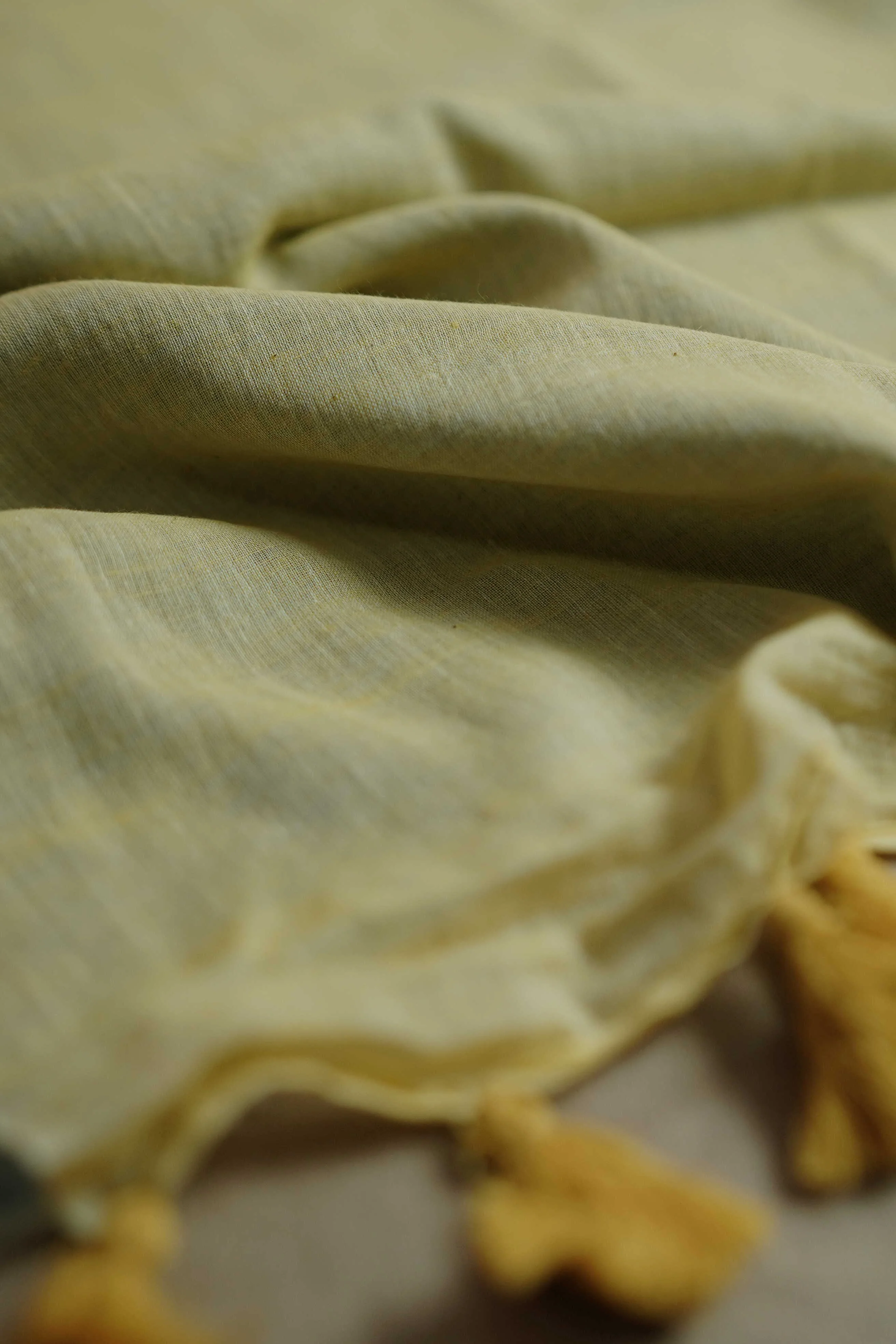 Multi-Colored Half & Half Mul Cotton saree - Image 3